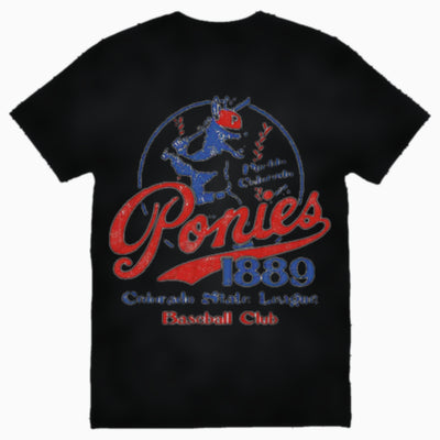 Pueblo Ponies