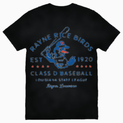 Rayne Rice Birds
